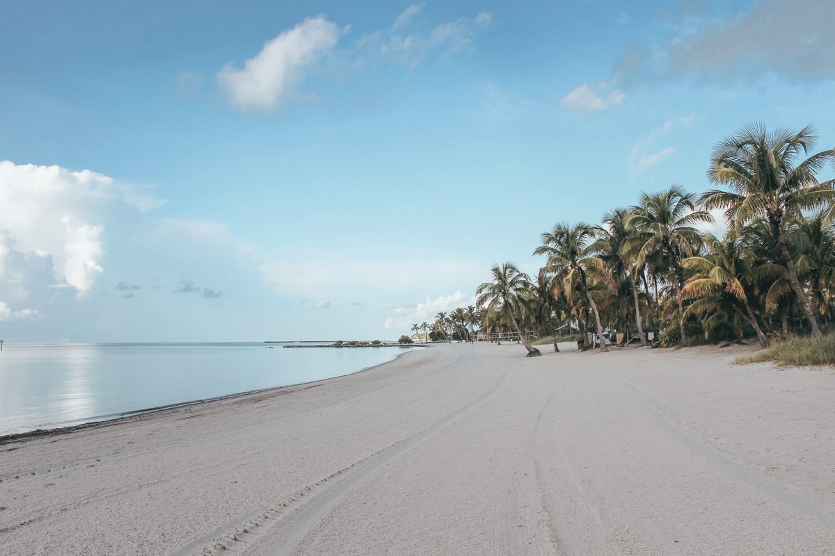 An empty white sand beach curving away beneath a row of coconut palms under a soft blue morning sky.