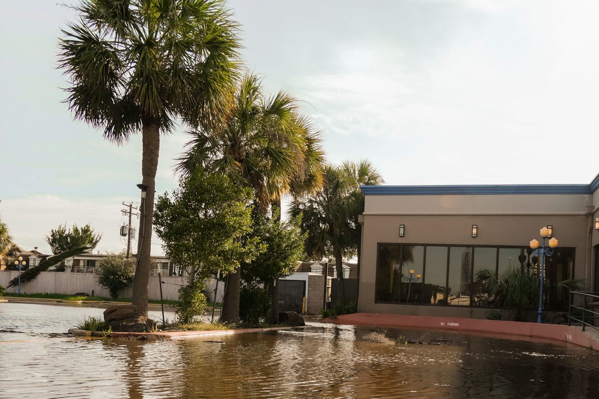 Brown storm water standing across a Gulf Coast street beside sabal palms and a low commercial building.
